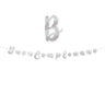 Festone Buon Compleanno Argento Metal 300 cm