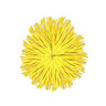 Palloncini in Lattice Modellabili Gialli (50pz) 2.5 cm