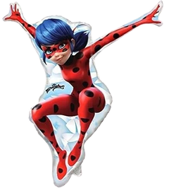 Miraculous Lady Bug