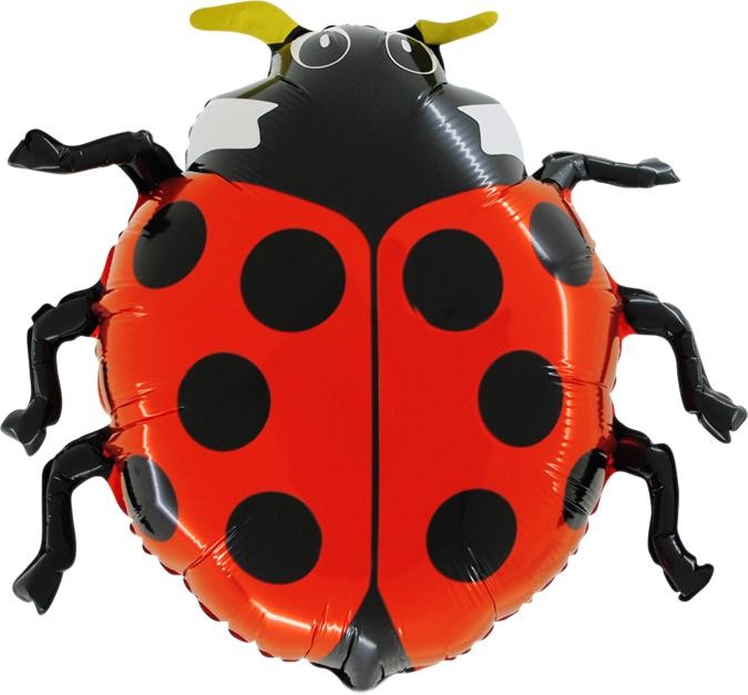 Palloncino Coccinella