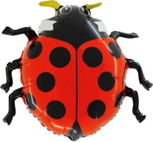 Mini Palloncino Coccinella