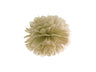Pom Pom di Carta Oro 25 cm