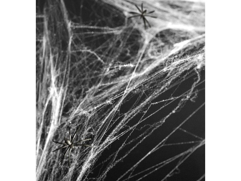 Ragnatela Bianca Halloween