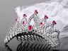 Tiara Argento con Velo Plastica 45 cm
