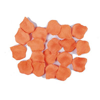 Petali Colore Salmone in Velluto 5.5 cm
