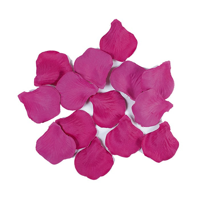 Petali Colore Fucsia in Velluto