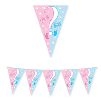 Festone Bandierine Baby Girl or Boy? Plastica Celeste Rosa