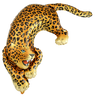 Palloncino Leopardo Selvaggio Mylar